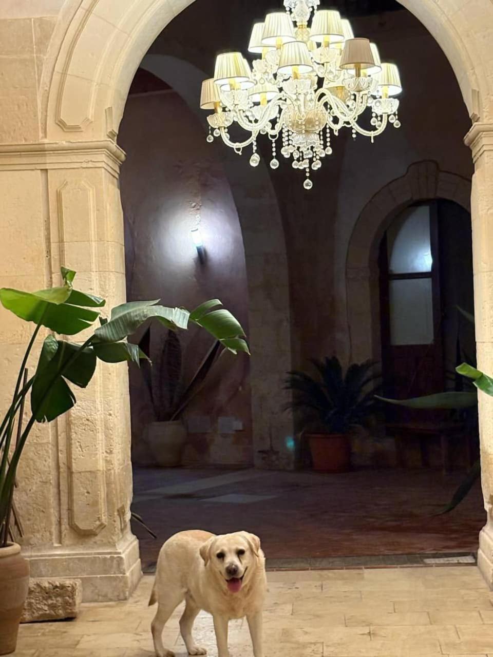 Palazzo Gancia Holiday Homes 锡拉库扎 外观 照片